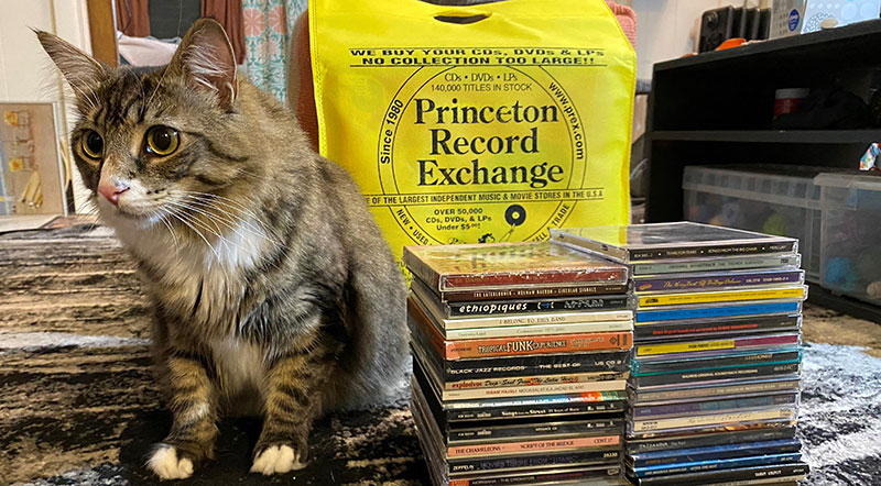 A photo of CD’s on shelf at Prex.